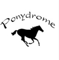 Ponydrome Kassel Therapeutisches Reit